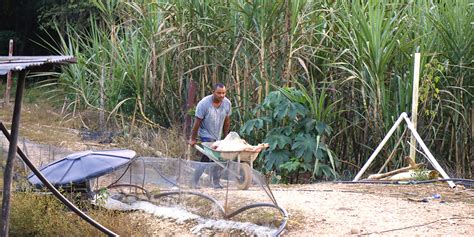 Gobierno Nacional Entrega Tierras A Campesinos De Cundinamarca Y