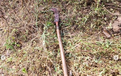 Funcion Rio De Fazenda Morto Golpes De Foice Na Cabe A Ap S Briga