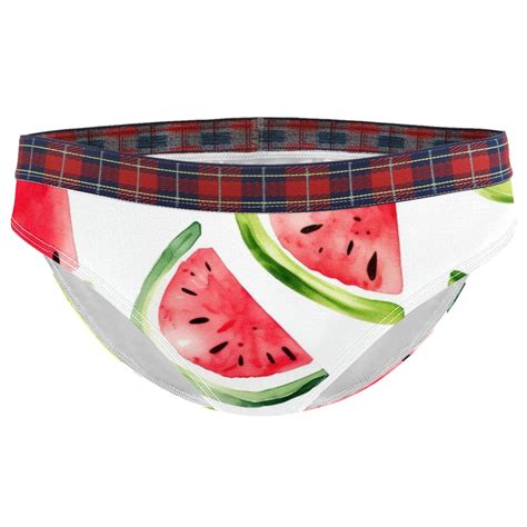 Brief Underwear Bikini Panties For Women Bikini Underwear XL Watercolor Style Watermelon