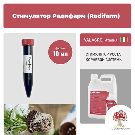 Стимулятор Радифарм: цена, инструкция по применению