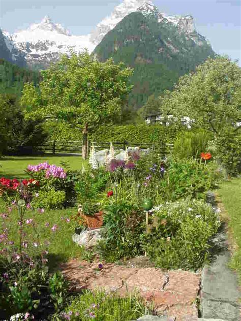 frühling in den bergen in Außerhalb Salzburgs Mein Garten Fotoblog SN at