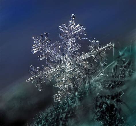 Unique And Beautiful Snowflakes 49 Pics