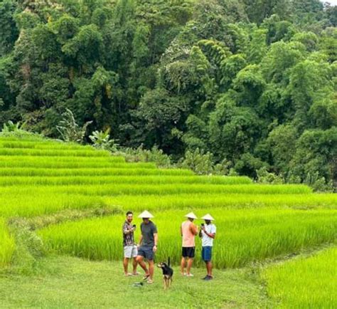 Chiang Mai Doi Inthanon Park Hiking Elephants Sanctuary Getyourguide