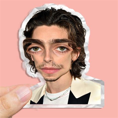 Timothee Chalamet Sticker Waterproof Dye Cut Etsy