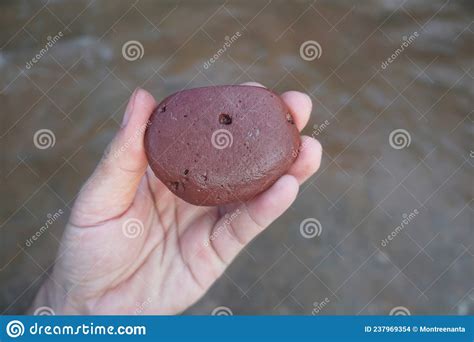 Hand Holding A Specimen Raw Of Red Sandstone Stock Photo Image Of