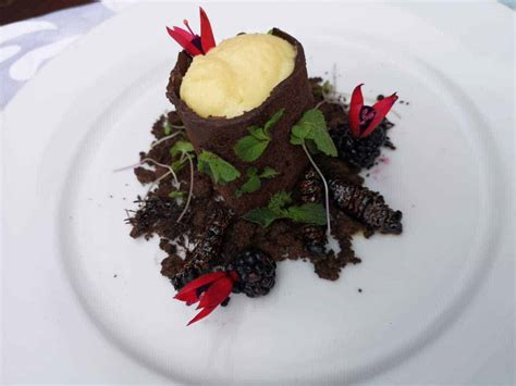 Recipe Mopane Worm Chocolate Tree And Ginger Crumble Soil