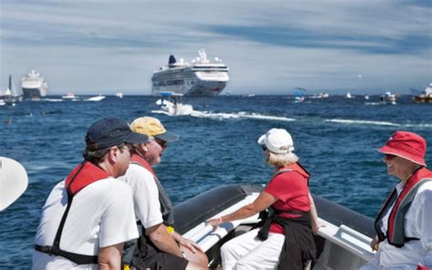 Periodo De Llegada De Cruceristas A M Xico M Xico Ruta M Gica