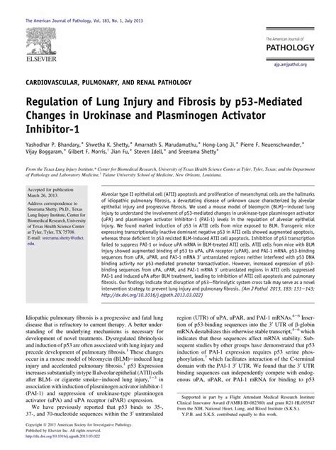 Pdf Regulation Of Lung Injury And Fibrosis By P53 Mediated Changes