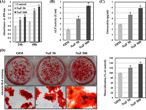 A Effect Of NaF On MC3T3 E1 Cell Proliferation Cell Growth Was