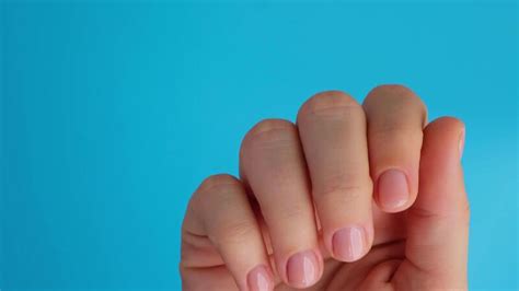 Stylish Nude Beige Female Nails On Blue Background Modern Trendy Stylish Beautiful Manicure