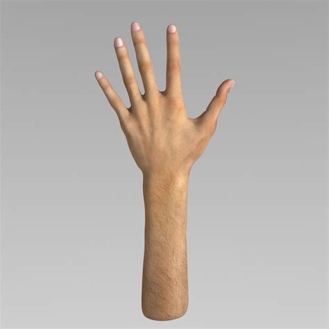 Animated 3d Model Hand Free 3d Models Obj Obj Download Free3d