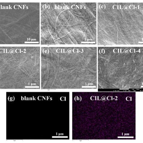 Sem Images Of A Blank Cnfs And High Magnification Sem Images Of B