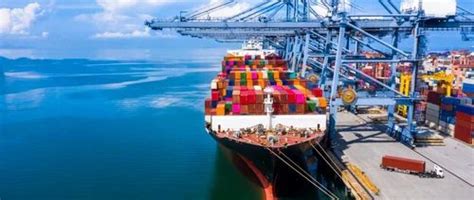 Ocean Freight Forwarding Service At Rs 1000container In Navi Mumbai