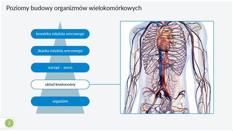 Interaktywne Plansze Przyrodnicze Ipp Biologia