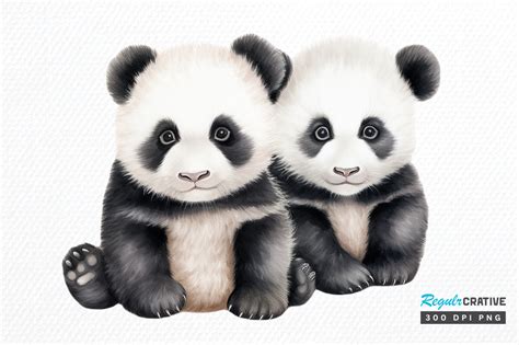 Baby Pandas Clipart Sublimation Graphics Graphic By Regulrcrative