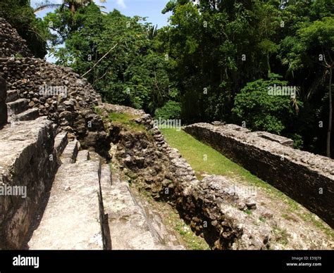 High Temple at Lamanai in Belize Stock Photo - Alamy