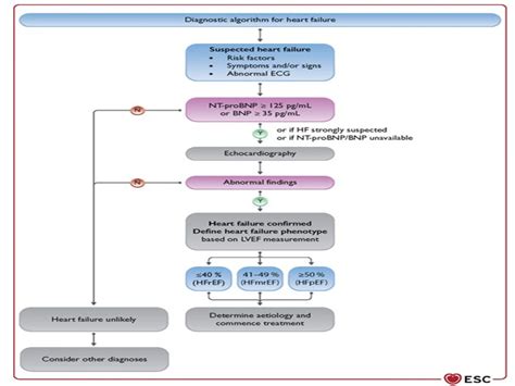 ESC 2021 Guideline How To Manage Heart Failure