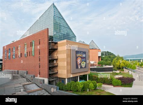 Tennessee, Chattanooga, Tennessee Aquarium Stock Photo - Alamy