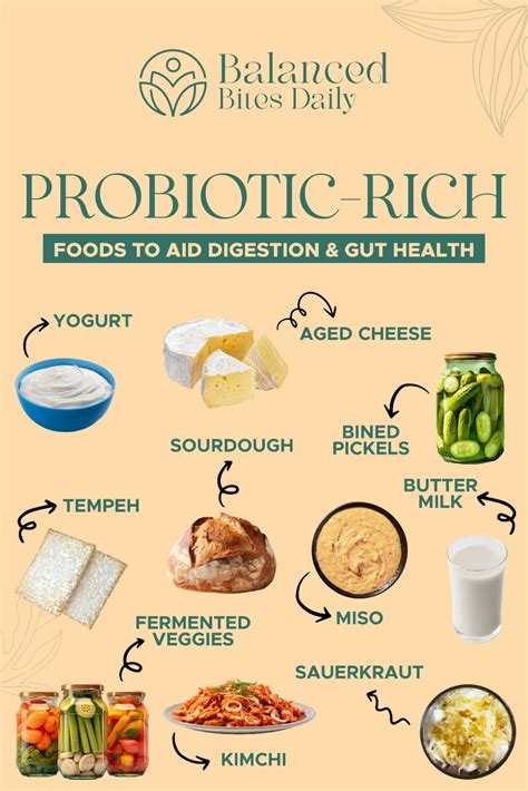 Probiotic rich foods to aid digestion and gut health – Artofit