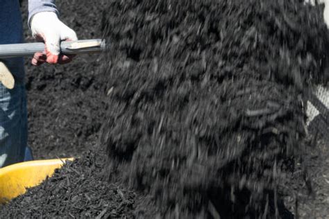 Mulch Wheelbarrow Stock Photos Pictures And Royalty Free Images Istock