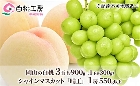 【楽天市場】【ふるさと納税】桃 ぶどう 2025年 先行予約 白桃 3玉 合計約900g （1玉約300g） シャインマスカット 晴王 1房