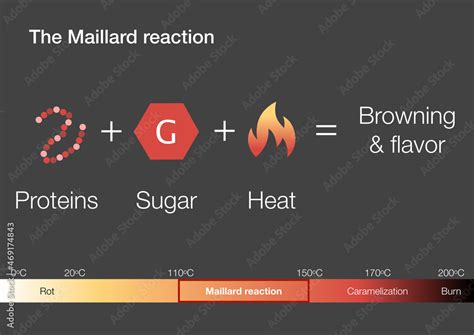 Explanation Of The Maillard Chemical Reaction In Cooking Stock Illustration Adobe Stock