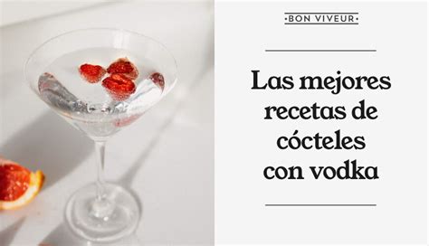 Recetas De C Cteles Con Vodka F Ciles De Preparar