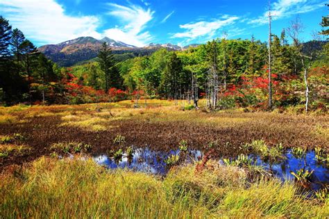 紅葉の風景 乗鞍高原 風景写真春秋