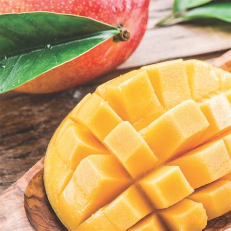 fruit pulp definition  fruit pulp