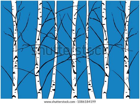 Color Vector Illustration Naked Birch Trees Stock Vector Royalty Free Shutterstock