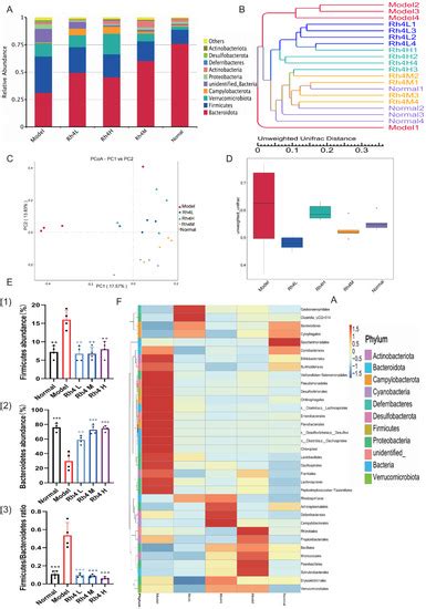 Ginsenoside Rh Improves Hepatic Lipid Metabolism And Inflammation In A