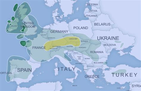 Celtic Migrations Map Historical Maps Ancient Maps