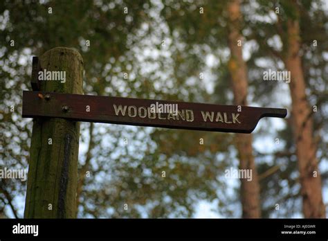 Simple Signpost For A Woodland Walk At Wolferton Norfolk Stock Photo