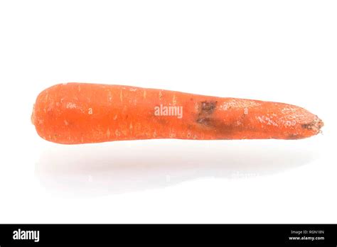 Rotten Carrot Isolated On White Background Stock Photo Alamy