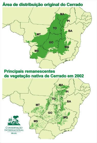 Geografia Cerrado a savana mais rica do planeta Conexão Escola SME