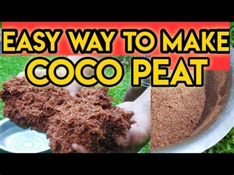 How To Make Coco Peat At Home Paano Gumawa Ng COCO PEAT YouTube