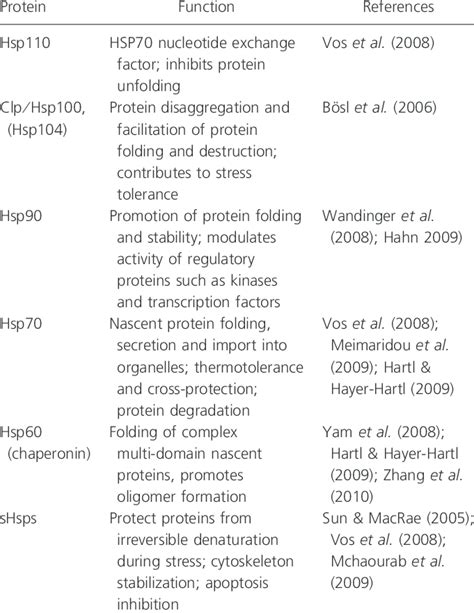 Functions Of The Major Heat Shock Protein Families Download Table