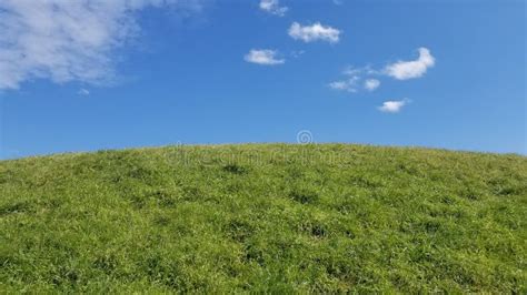 Grassy Hill Stock Image Image Of Ridge Grass Wispy