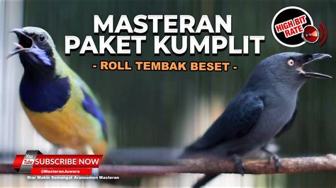 Masteran Segala Macam Burung Roll Tembak Cucak Cungkok Gacor Dan