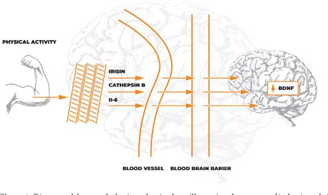 Figure From The Influence Of Conventional And Innovative