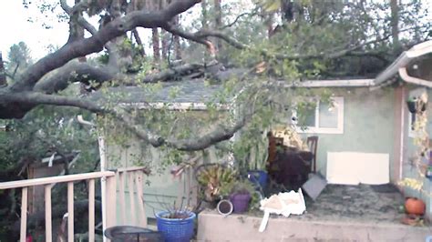 Large Oak Tree Falls On House In Escondido Fox 5 San Diego And Kusi News