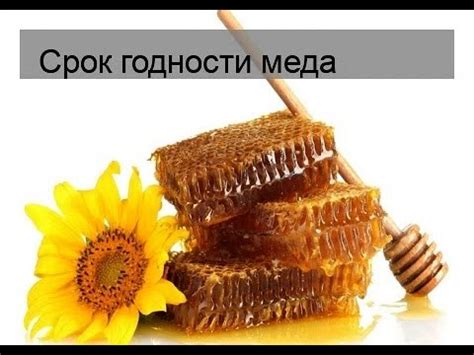 Срок годности меда - YouTube