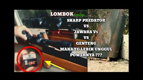 Uji Power Senapan Uklik Sharp Predator Dan Jawara Tgr V5 Dengan Mimis