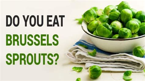 Scientists Explain What Happens To Your Body When You Eat Brussels Sprouts Every Day Brussel