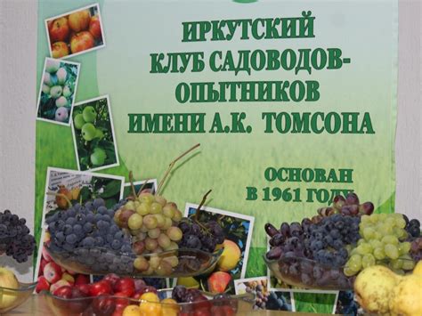 Сразу три выставки комнатных растений организуют садоводы в Иркутске