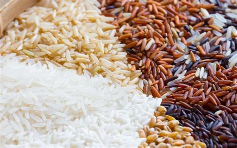 Коричневый рис против белого риса: Which Is The Healthy Choice?