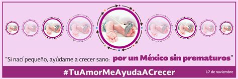 Programa Salud Materna Y Perinatal Centro Nacional De Equidad De