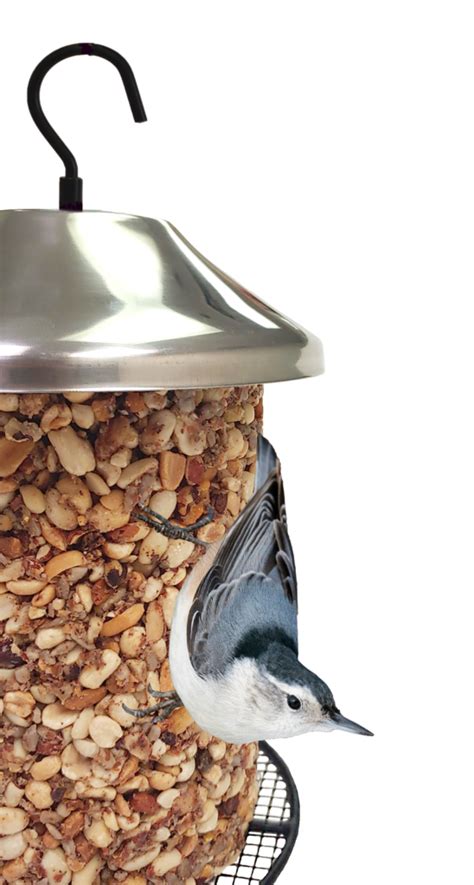 Seed Tower Feeder Wildlife Sciences