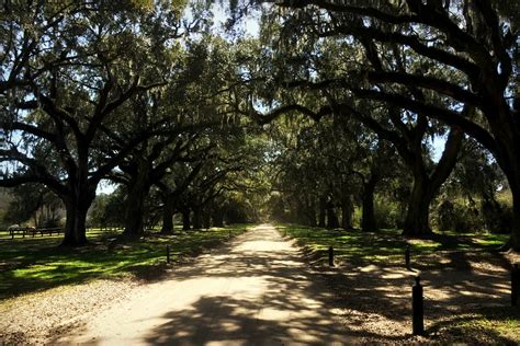 Boone Hall Plantation, Charleston, South Carolina | Grateful Prayer | Thankful Heart