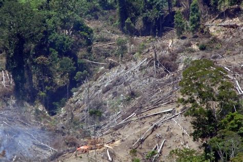 17 Titik Panas Terdeteksi Di Riau Satu Harapan